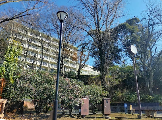 志村坂上見次公園マンション外観４