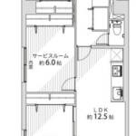 グリーンパーク第１０綾瀬101間取図