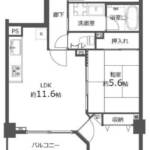 クレストフォルム向島603間取図