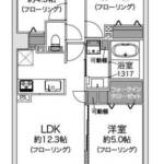 ナイスアーバン葛西204間取り