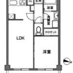 光シャンブル中野新橋103間取り